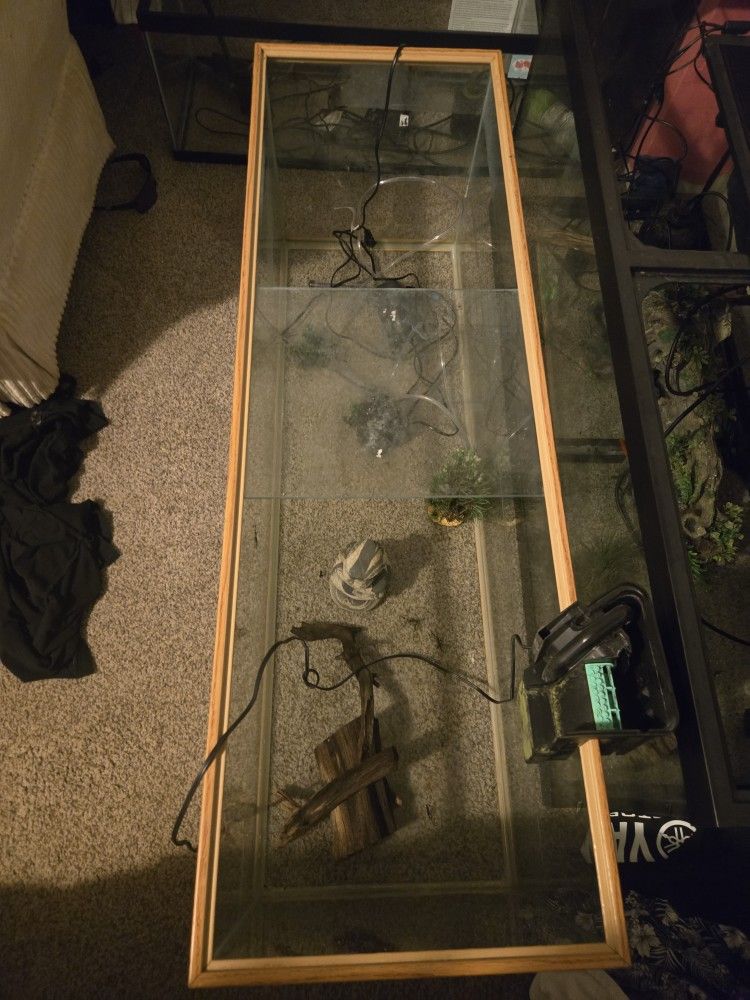 Fish Tank