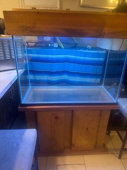 Fish tank was light