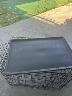 Fold And Carry Pet Crate