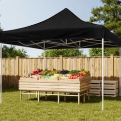 10 x 10 Pop Up Canopy Tent Portable  Instant Canopies Outdoor Market Shelter 10x10 Canopy