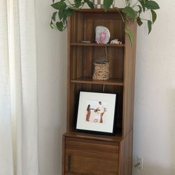 West Elm Mid Century Bookcase 