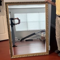 Large Vintage Gallery Gold Framed Dahlia Mirror 47x35 