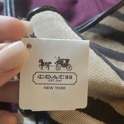 Coach Bag 