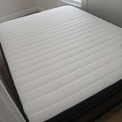 Queen Size Beds ( Need Gone Today )