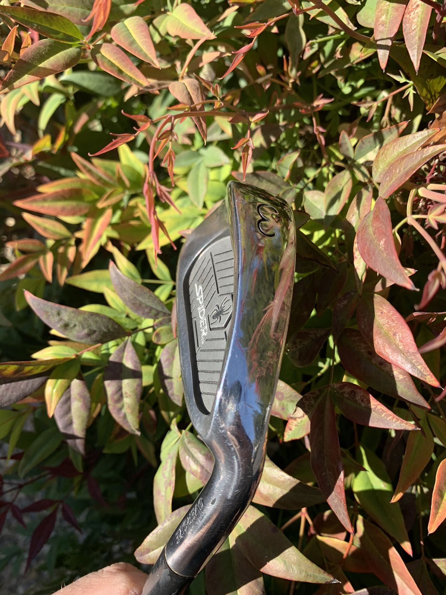 Rare Set Of Spider Irons