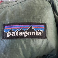 Patagonia Girls 2T Down Jacket