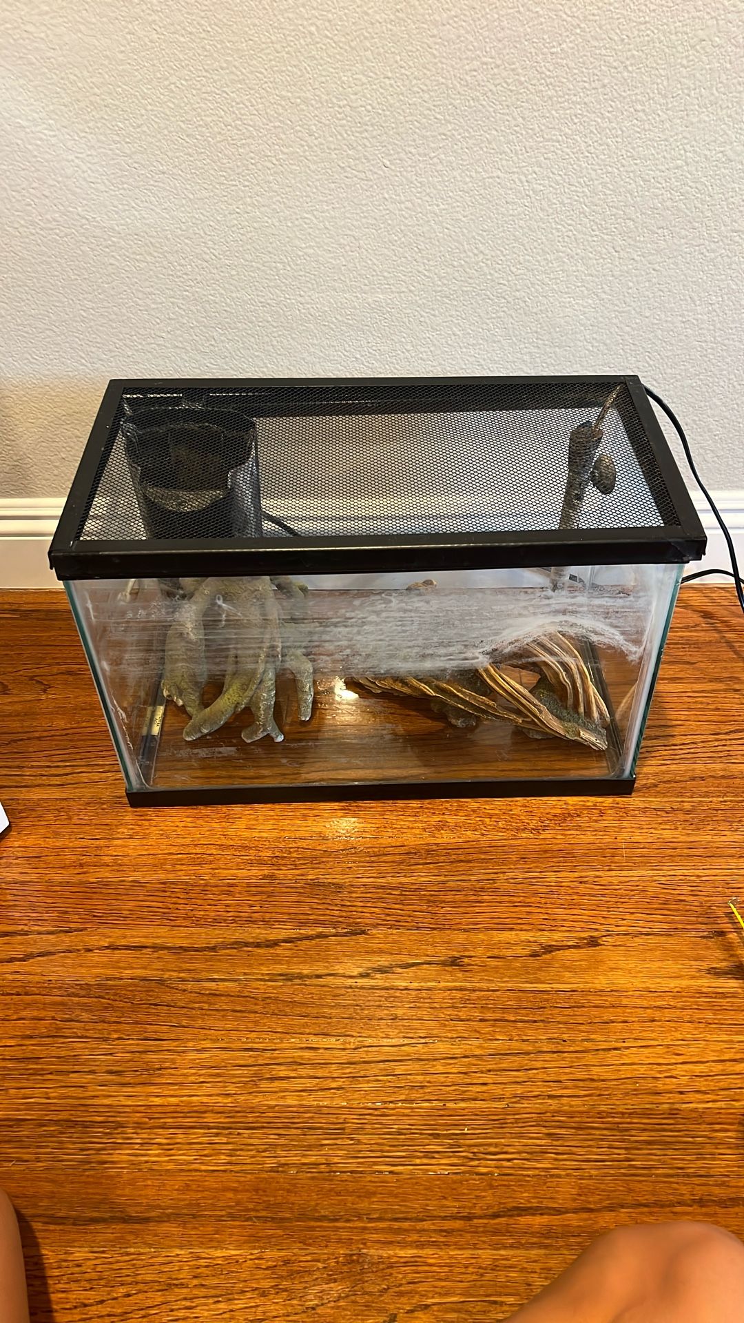 10 Gallon Fish Tank