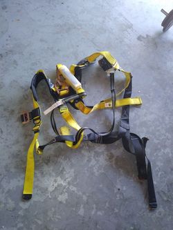 Harnest and a 6ft strap