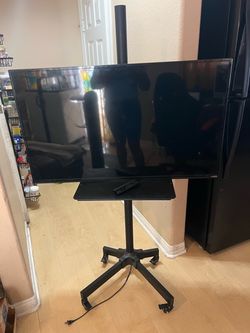 43” Vizio Flat Screen w/rolling stand