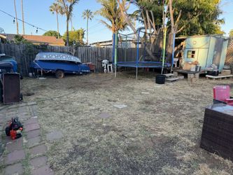 Yard Clean Up