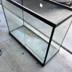 35 Gallon Fish Tank Thumbnail