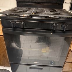 Less Than A Year Old