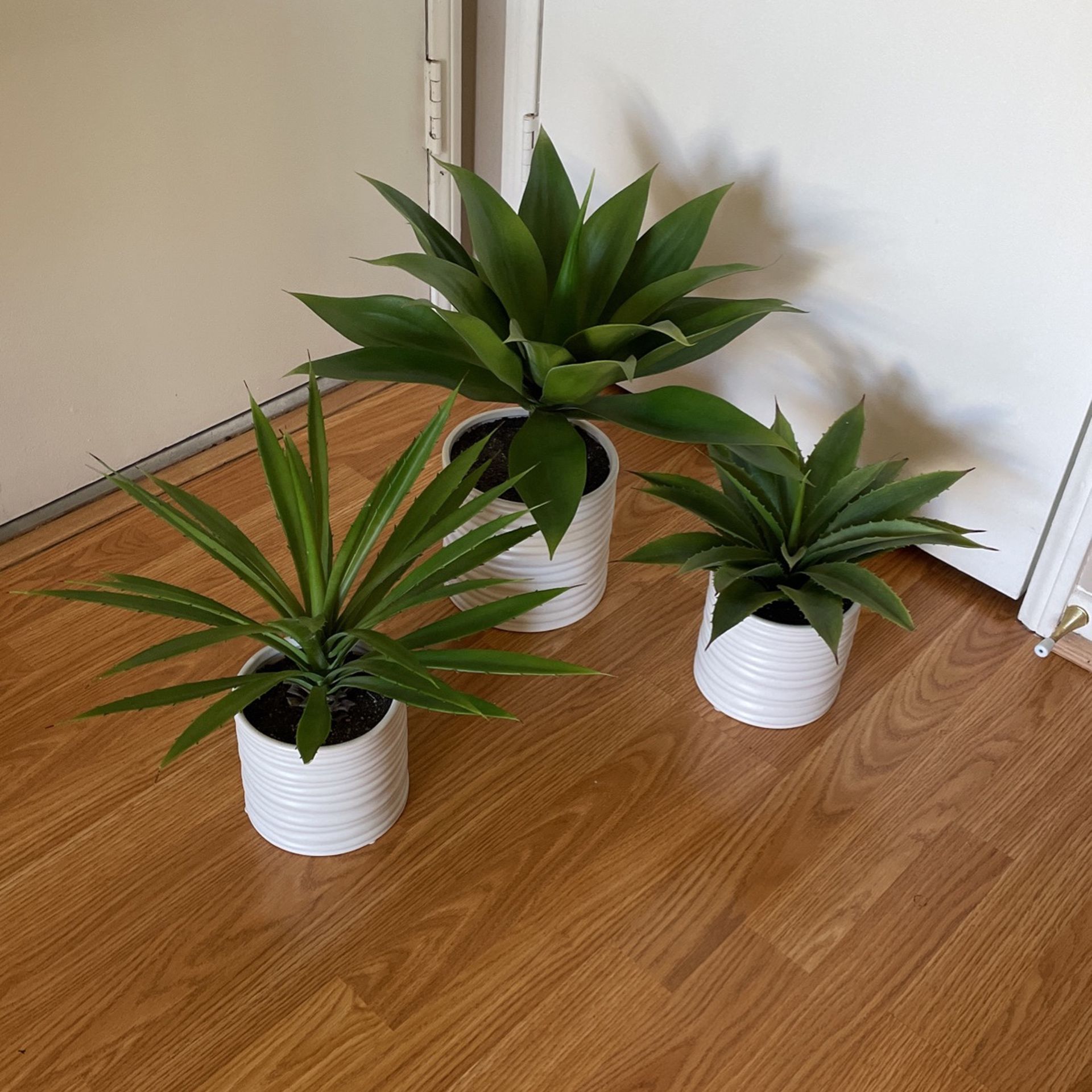 Fake Succulent Plant Set