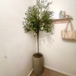 6ft Faux Olive Tree with 2ft plastic potter
