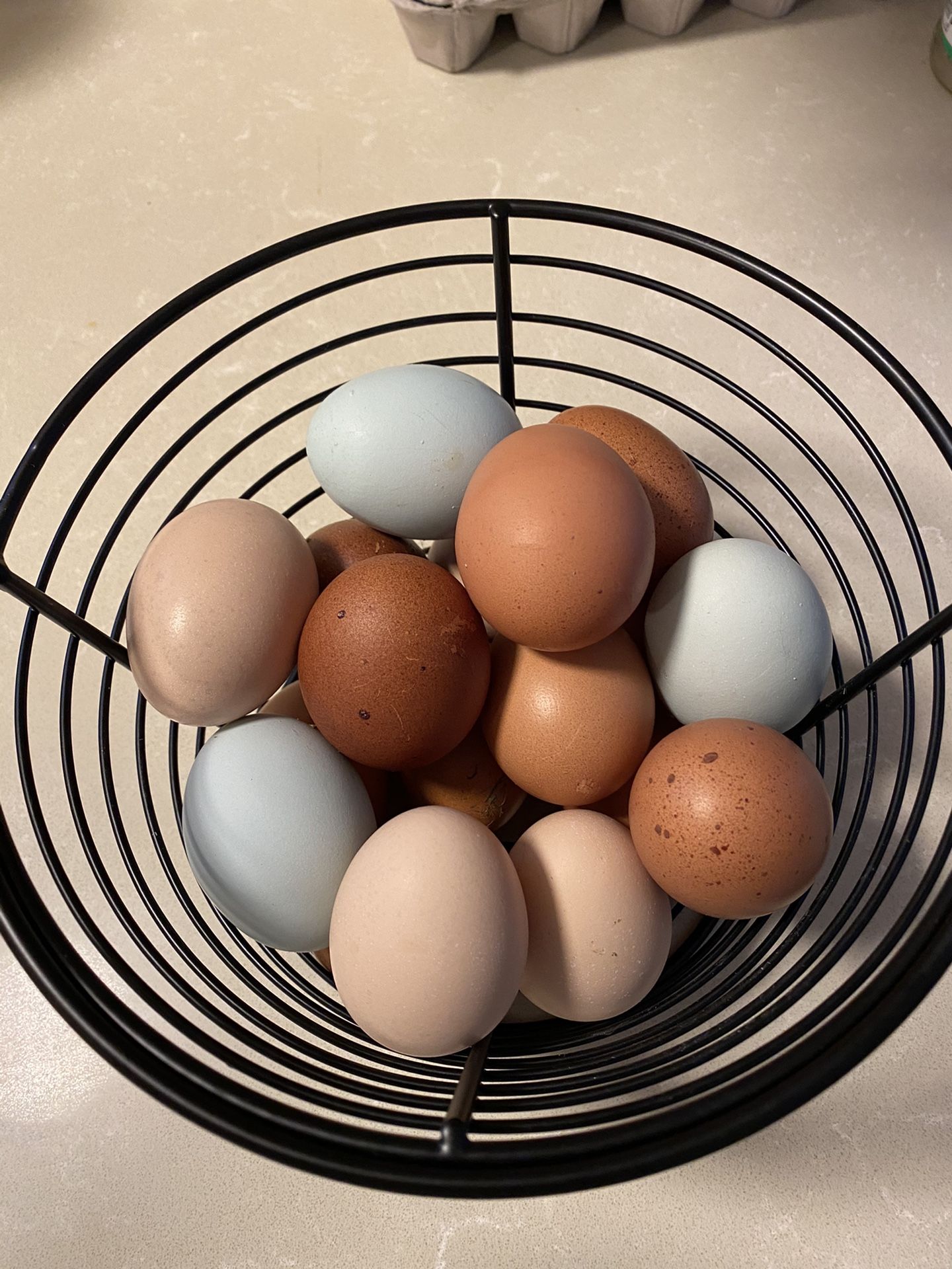Farm Fresh Eggs