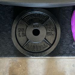 Olympic Weights 35 Lb
