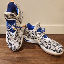 Nike LaBron Soldier XIV "Sisterhood"