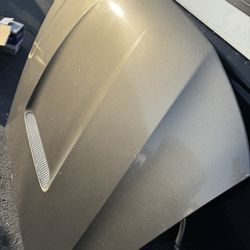 Mustang Hood