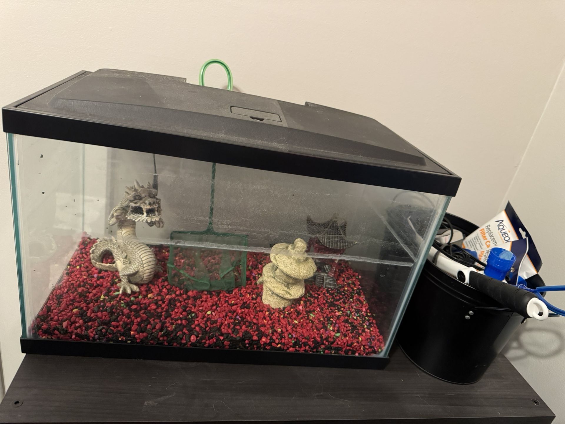10 Gallon Fish Tank & Supplies