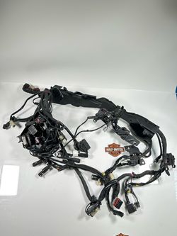 2018 OEM Harley Davidson Touring Main Wiring Harness 69201121A ABS.BEST OFFER WELCOME. SM9KNT0496