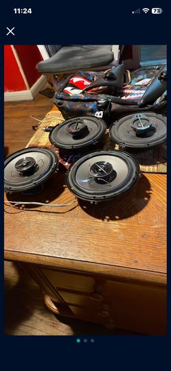Pioneer Size Door Speakers