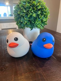 Squeeeeze ducks