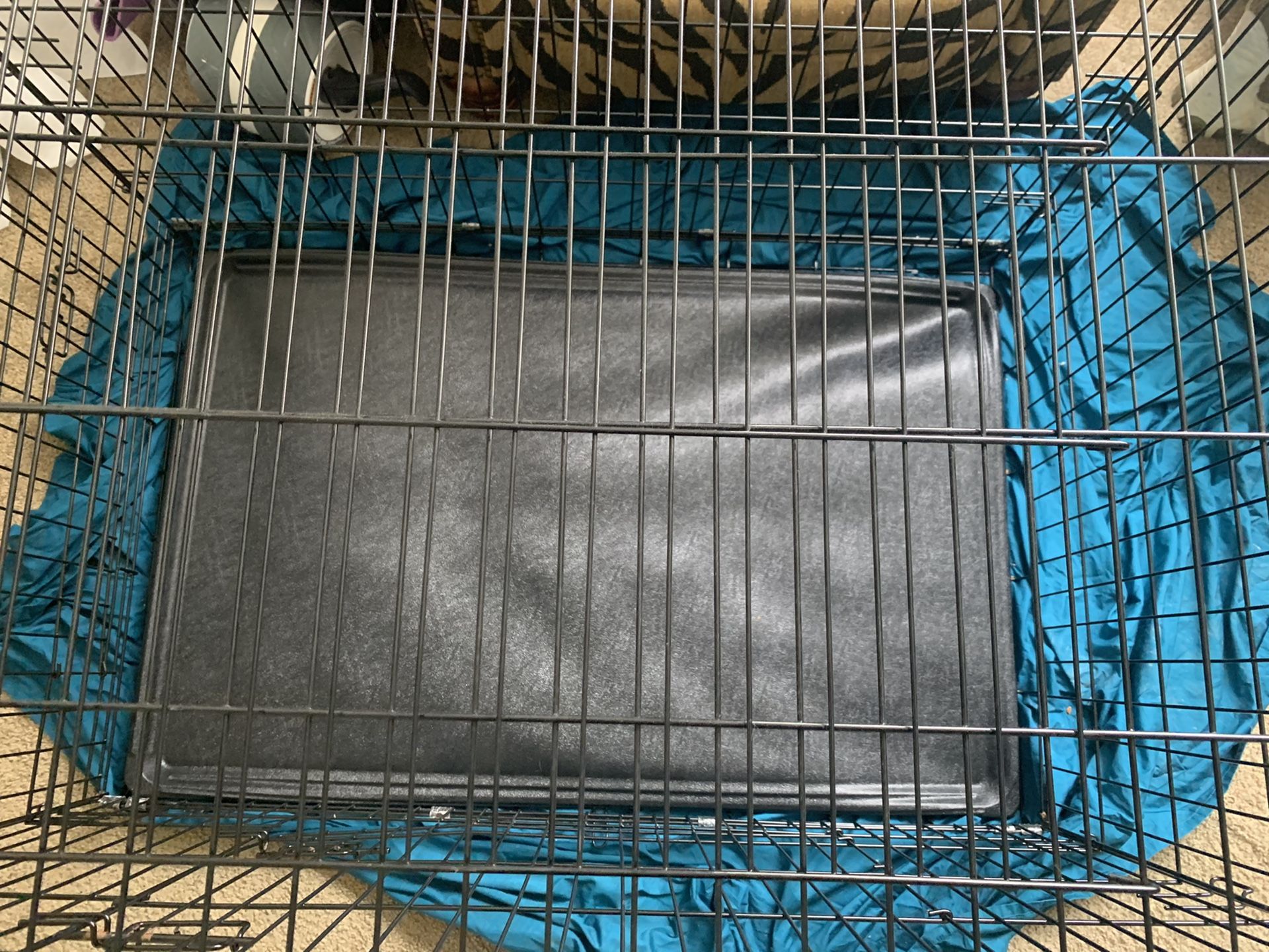 Cage for your pet