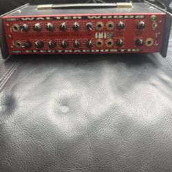 Walter Woods Bass Amp Green Light Edition