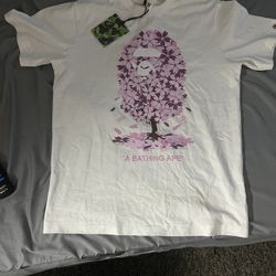bape