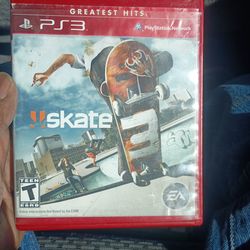 Skate video game 3
