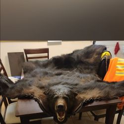 Canadian Black Bear Hide