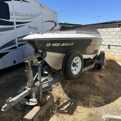 1989 Regal Medallion Grey/white 17’ 