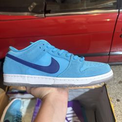 SB Dunk low Blue Fury Sz. 12 