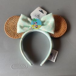 Disney Collection Ears