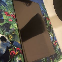 60” Sharp LCD Monitor 