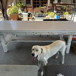 Heavy Duty Shop Table 9 x 3