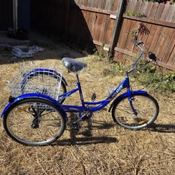 Tricycle New Size 24 $230