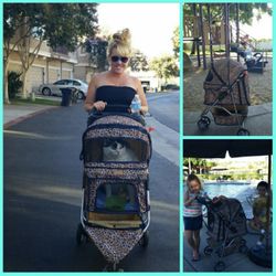 Extra Wide 3 Wheels Pet Dog Cat Stroller with RainCover