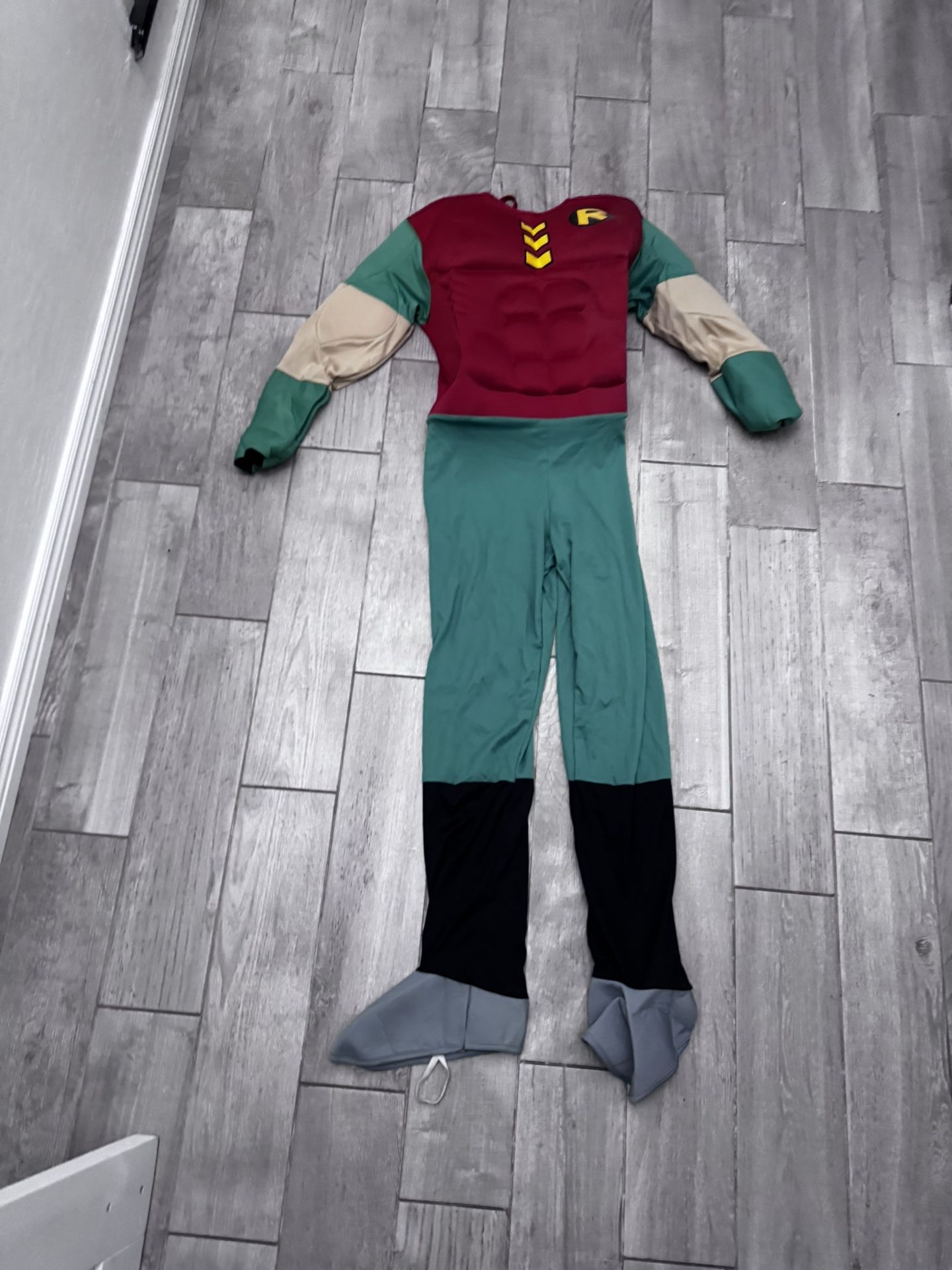 Robin Costume 