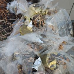 Free Old Dead Plants With Dirt/Soil PU Oakbrook 708943QKTS (7587)