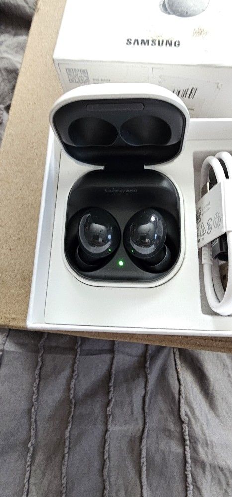 These Are Display Galaxy Buds 2