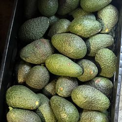 Avocados
