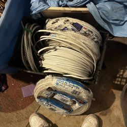 NEED GONE TODAY ALL FOR 450