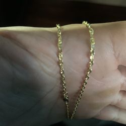 20” 10kt Gold Cable Chain