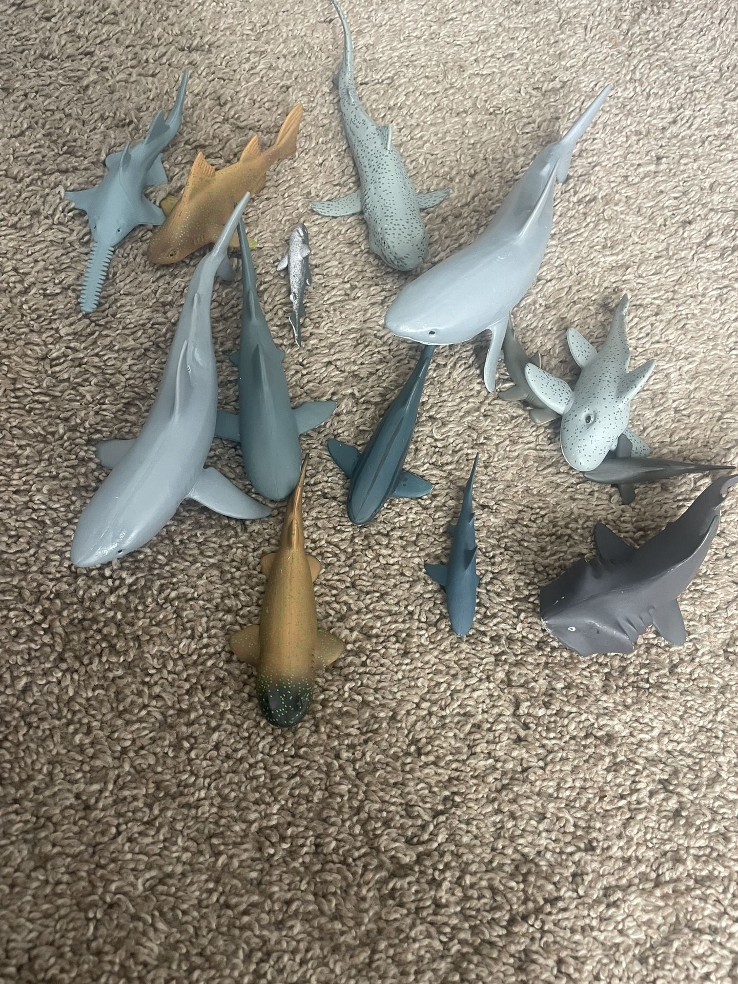 Toy Sharks
