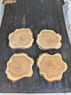Large Mesquite Wood Rounds