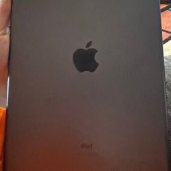 Ipad (9th Generation)