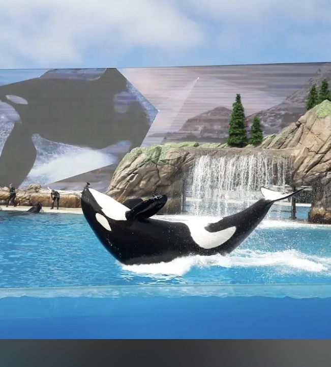SeaWorld Or Sesame Place SD Tickets + Parking