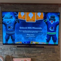 55" LG OLED TV for Sale! Priced To Go!