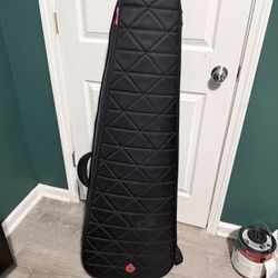 Like new Roadrunner Highway Series bass soft case